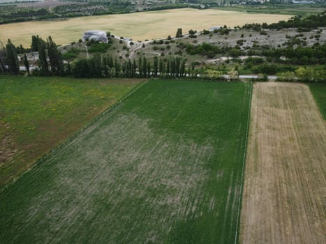 lush green farm field with rocky cliffs in the distance. The video highlights the beauty of rural areas and the agricultural process.