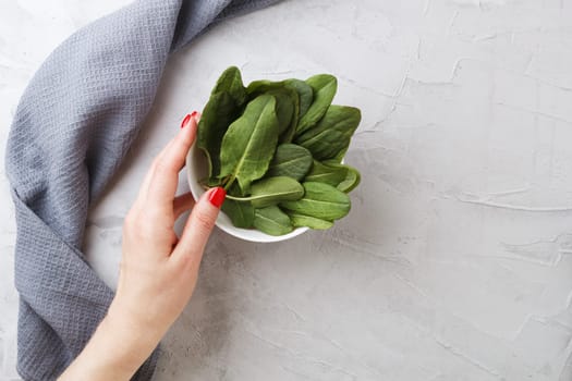 A woman's hand holds a plate with fresh organic sorrel leaves on a gray background.First spring greenery. Healthy food concept. copy space