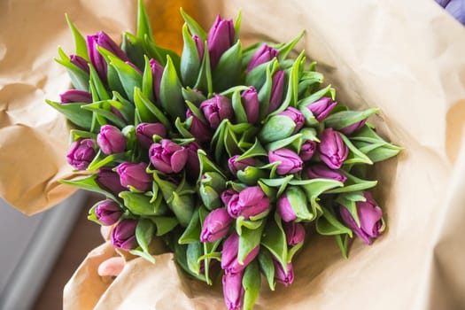 Hands wrapping purple tulips bouquet in craft paper overwooden table top view. Rustic valentines gift
