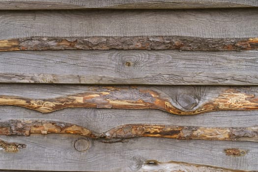 A wall of unhewn boards, built in fly-fishing. wooden background