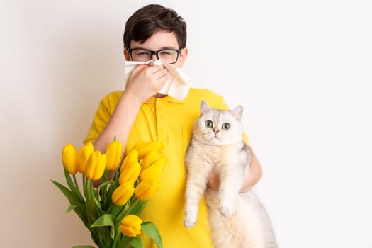 a brunette boy , dressed in a yellow T-shirt, holds a white cat and covered his nose with a paper napkin and sneezes, a bouquet of yellow tulips stands next to it, on a white background. To close up.