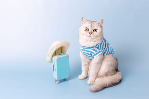 Cute white cat in a blue striped T-shirt, sitting next to a small blue suitcase in a straw hat, on a light blue background, looking at camera. Copy space