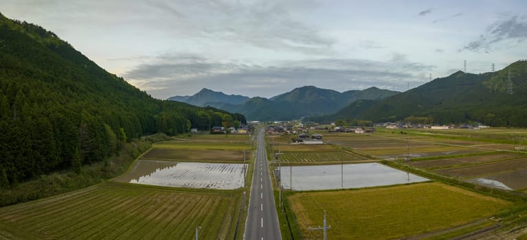 Panoramic aerial view of open road through rice fields in mountains landscape at dusk. High quality photo