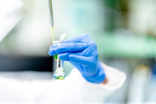 chemical substance in a glass test tube in a research laboratory. genetic test. High quality photo