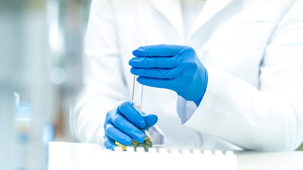 tested and experimental changes in plant genetics in the laboratory. High quality photo