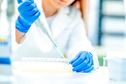pipetting of chemical samples during research in a biochemical scientific laboratory. High quality photo