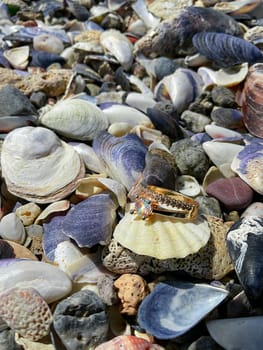 The concept of a wedding. Gold ring on a seashell, nautical wedding, design template with copyspace