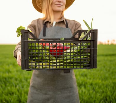 Front view Portrait of woman farmer is holding a box with harvest of organic vegetables on green field at sunset. Wear straw hat and garden apron