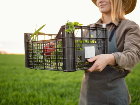 Family business raw rural store grocery. Close up woman carrying basket with organic vegetables in the garden