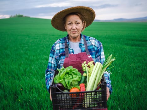 European farmers and agriculture small business concept. Senior farmer woman portrait examines harvest in the garden field