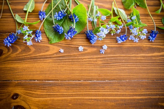 Wooden background with spring flowers and empty space for text.