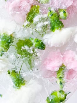 carnation, garden flowers frozen in ice, garden flower, carnation in ice, frozen carnation flower, flowers in ice, pink flower, ice with frozen pink carnation