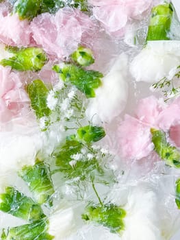 carnation, garden flowers frozen in ice, garden flower, carnation in ice, frozen carnation flower, flowers in ice, pink flower, ice with frozen pink carnation