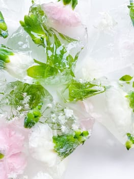 Pink and white carnations with ice pieces leaves lying on a white background. Floral ice cubes. broken ice