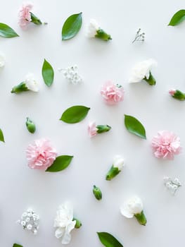 Floral pattern of pink and white carnations, green leaves, buds and gypsophila on a white background. Flat lay, top view. Valentine's background. Floral pattern. Flowers pattern. Floral pattern texture