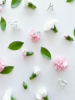 Floral pattern of pink and white carnations, green leaves, buds and gypsophila on a white background. Flat lay, top view. Valentine's background. Floral pattern. Flowers pattern. Floral pattern texture