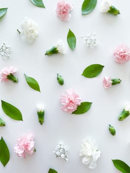 Floral pattern of pink and white carnations, green leaves, buds and gypsophila on a white background. Flat lay, top view. Valentine's background. Floral pattern. Flowers pattern. Floral pattern texture