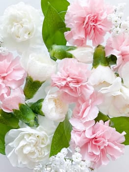 Carnation in water, spa background. Leaves, gypsophila and carnation with water drops.