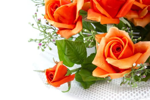 Orange and pink flower with white background