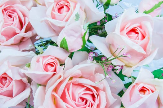 Orange and pink flower with white background