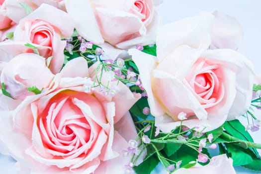 Orange and pink flower with white background