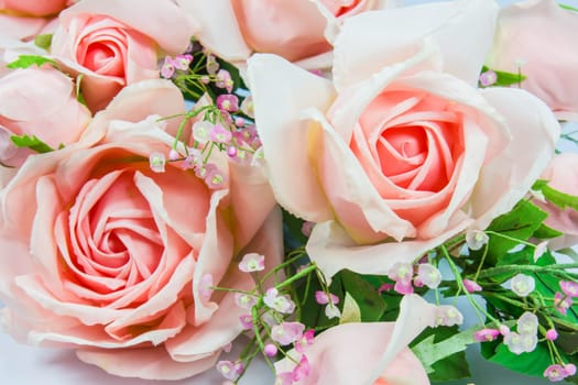 Orange and pink flower with white background