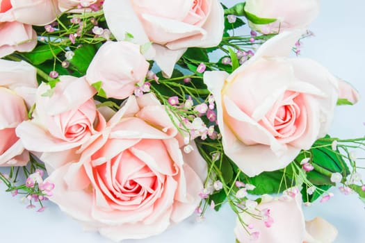 pink flower with white background