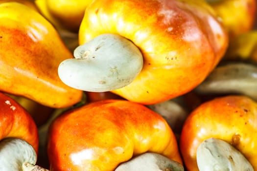 Ripe cashew fruit ,Asian fruit