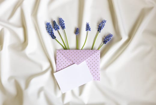 Blue muscari under envelope on white folded background. Valentine's, mother's day, wedding or spring mockup with white card. Flat lay, top view