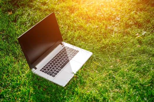 Laptop with blank screen on green lawn. Copy space. Sun flare