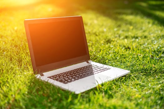 Laptop with blank screen on green lawn. Copy space. Sun flare