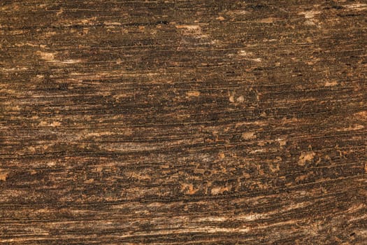 Texture on old wooden bench board lit by sun. Natural vintage wood background.