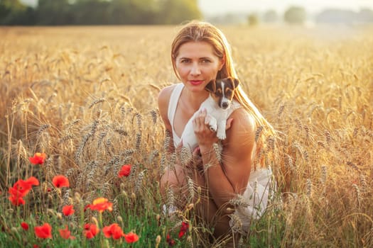 Young athletic woman, kneeling, holding Jack Russell terrier puppy on her hands, some red poppy in foreground and sunset lit wheat field background.