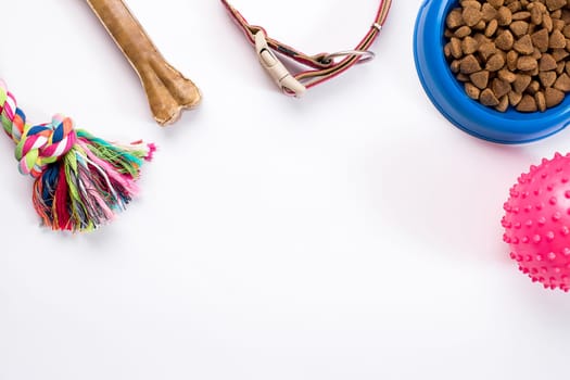 Collar, blue bowl with feed, leash and delicacy for dogs. Isolated on white background. Top view. Still life. Copy space