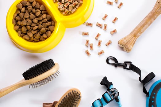 Collar, bowl with feed, leash, delicacy, combs and brushes for dogs. Isolated on white background. Top view. Still life. Copy space