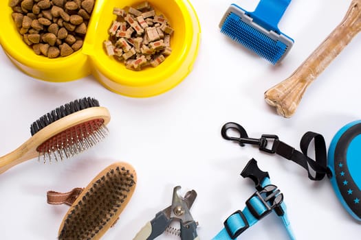 Collar, bowl with feed, leash, delicacy, combs and brushes for dogs. Isolated on white background. Top view. Still life. Copy space
