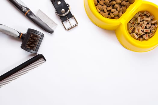 Collar, bowl with feed, leash, delicacy, combs and brushes for dogs. Isolated on white background. Top view. Still life. Copy space