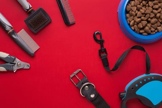 Collar, bowl with feed, leash, delicacy, combs and brushes for dogs. Isolated on red background. Top view. Still life. Copy space