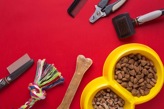 Pet accessories on red background. Top view. Still life. Copy space
