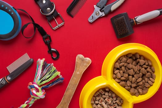 Pet accessories on red background. Top view. Still life. Copy space