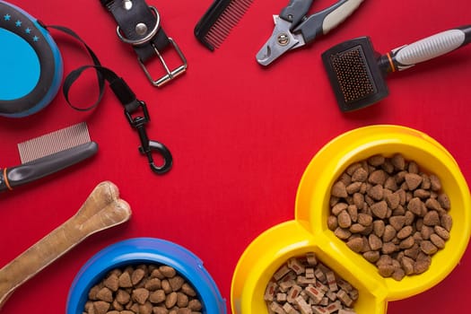 Pet accessories on red background. Top view. Still life. Copy space