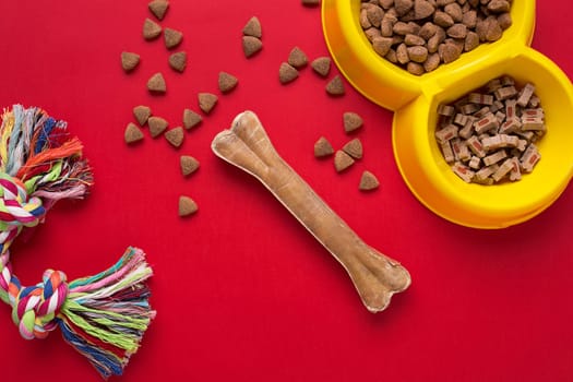 Pet accessories on red background. Top view. Still life. Copy space