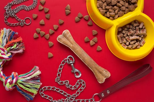 Pet accessories on red background. Top view. Still life. Copy space