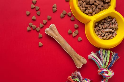 Pet accessories on red background. Top view. Still life. Copy space