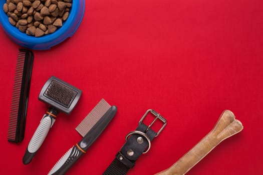 Pet accessories on red background. Top view. Still life. Copy space