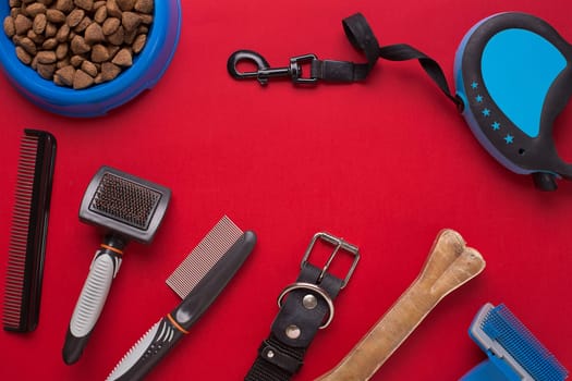 Pet accessories on red background. Top view. Still life. Copy space
