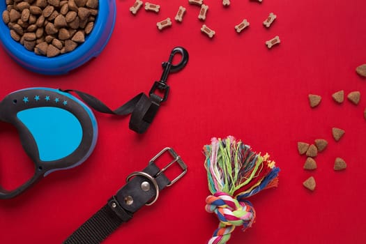 Pet accessories on red background. Top view. Still life. Copy space