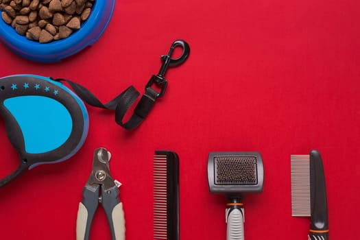 Pet accessories on red background. Top view. Still life. Copy space