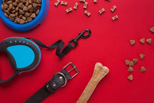 Pet accessories on red background. Top view. Still life. Copy space