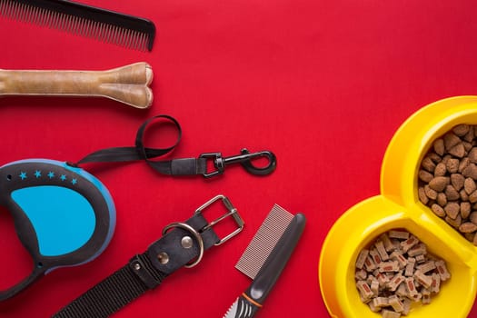 Pet accessories on red background. Top view. Still life. Copy space